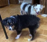 processed/8b0e711a-47c5-4923-96d3-8f3416a7a44d/listing/a3ef77b9-a87f-4025-a32b-a2a437c7b158/f3cfb383-d379-42bb-bde1-bd7ab12ccc1b