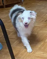 processed/8b0e711a-47c5-4923-96d3-8f3416a7a44d/listing/c45d0098-3225-4bd2-9946-51cf6d4d8b25/29d96f05-eee9-4e94-8dee-52f6725db4a5