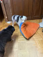 processed/8b0e711a-47c5-4923-96d3-8f3416a7a44d/listing/c45d0098-3225-4bd2-9946-51cf6d4d8b25/3da5dcd8-1365-45ed-be0c-dded7869ccad