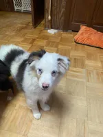 processed/8b0e711a-47c5-4923-96d3-8f3416a7a44d/listing/c45d0098-3225-4bd2-9946-51cf6d4d8b25/546d0e90-9fa8-4005-96e1-b3fe28402af7