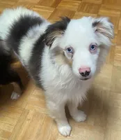 processed/8b0e711a-47c5-4923-96d3-8f3416a7a44d/listing/c45d0098-3225-4bd2-9946-51cf6d4d8b25/b8bf006d-764d-46fc-817d-7ef9a7e2e520