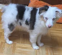 processed/8b0e711a-47c5-4923-96d3-8f3416a7a44d/listing/c45d0098-3225-4bd2-9946-51cf6d4d8b25/bbef7163-3782-48cf-8c2a-5f73dc062f20