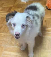 processed/8b0e711a-47c5-4923-96d3-8f3416a7a44d/listing/c45d0098-3225-4bd2-9946-51cf6d4d8b25/d77c0f27-e9b1-4043-9d1a-072ede5523b8