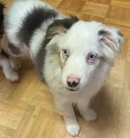 processed/8b0e711a-47c5-4923-96d3-8f3416a7a44d/listing/c45d0098-3225-4bd2-9946-51cf6d4d8b25/da045973-c5fa-44e7-b1f5-7319f59b67c6