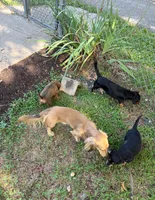 processed/8b12590f-eed1-435d-a8d0-20b983bf9930/facility/11336dae-76ef-4c7e-ac44-bf57e0574da5