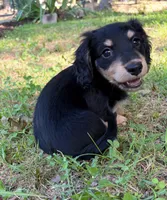 processed/8b12590f-eed1-435d-a8d0-20b983bf9930/facility/1f914958-009e-4c97-bed7-0b35a0737acb