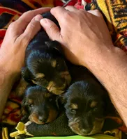 processed/8b12590f-eed1-435d-a8d0-20b983bf9930/facility/26d015b4-be75-4229-bcf1-4719131ffcbe