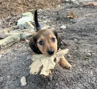 processed/8b12590f-eed1-435d-a8d0-20b983bf9930/facility/53d1587a-b63b-4b06-bed4-54df98443c61