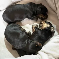 processed/8b12590f-eed1-435d-a8d0-20b983bf9930/facility/89e1289c-0a01-415e-a45c-686182551cf7