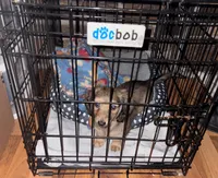 processed/8b12590f-eed1-435d-a8d0-20b983bf9930/facility/8f9cb60a-55cc-4ee2-8aea-08abc34830de