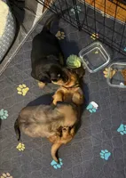 processed/8b12590f-eed1-435d-a8d0-20b983bf9930/facility/af776767-f53e-46c9-bde2-63560cdeaeb5