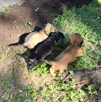 processed/8b12590f-eed1-435d-a8d0-20b983bf9930/facility/d75a9537-b21e-4e07-a63d-2a8eb3c58aba