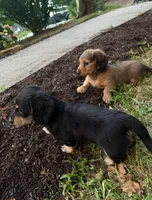 processed/8b12590f-eed1-435d-a8d0-20b983bf9930/facility/e0fb9f88-0176-4cb4-8288-25bcae192f99