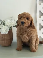 processed/8b13c340-8d20-475e-85c5-d6f1156c22c6/listing/95ce5813-edf9-4895-9be7-36a3c32056b4/e490a8f8-3b40-40c0-81b2-c69c3f124962