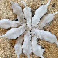 processed/8b20600e-c0cd-472e-9363-24d3355a7e02/facility/0de14941-9af7-41dd-8316-247713f32362