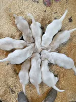 processed/8b20600e-c0cd-472e-9363-24d3355a7e02/facility/0de14941-9af7-41dd-8316-247713f32362