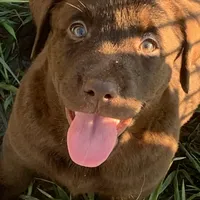 processed/8b20600e-c0cd-472e-9363-24d3355a7e02/facility/1581856b-34ee-4c8b-baab-14c704be057f