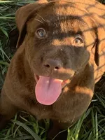 processed/8b20600e-c0cd-472e-9363-24d3355a7e02/facility/1581856b-34ee-4c8b-baab-14c704be057f