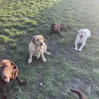 processed/8b20600e-c0cd-472e-9363-24d3355a7e02/facility/23a76d06-b05b-495d-aea2-ec727227d464