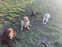 processed/8b20600e-c0cd-472e-9363-24d3355a7e02/facility/23a76d06-b05b-495d-aea2-ec727227d464