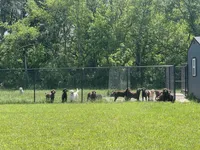 processed/8b20600e-c0cd-472e-9363-24d3355a7e02/facility/4f3b8061-f604-486e-aa41-50bfc1528029