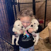 processed/8b20600e-c0cd-472e-9363-24d3355a7e02/facility/52569ce4-19c0-4602-bcc5-390fe5f0f35f