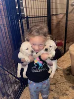 processed/8b20600e-c0cd-472e-9363-24d3355a7e02/facility/52569ce4-19c0-4602-bcc5-390fe5f0f35f