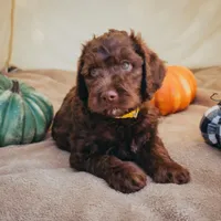 processed/8b20600e-c0cd-472e-9363-24d3355a7e02/facility/6d03c009-4942-4d9b-ae8e-622132ce3587