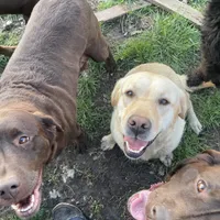 processed/8b20600e-c0cd-472e-9363-24d3355a7e02/facility/7c439fce-19f0-4cf5-a35a-7bc3da54ceff