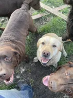 processed/8b20600e-c0cd-472e-9363-24d3355a7e02/facility/7c439fce-19f0-4cf5-a35a-7bc3da54ceff