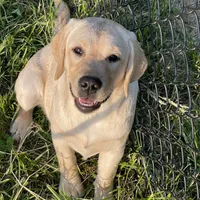 processed/8b20600e-c0cd-472e-9363-24d3355a7e02/facility/af9bd28e-5106-44f9-93ce-40aa2980fdcf