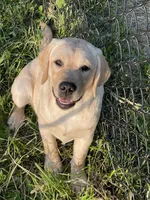 processed/8b20600e-c0cd-472e-9363-24d3355a7e02/facility/af9bd28e-5106-44f9-93ce-40aa2980fdcf