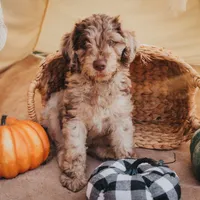 processed/8b20600e-c0cd-472e-9363-24d3355a7e02/facility/bc0eab92-a849-4da1-beaa-e885b593cadd