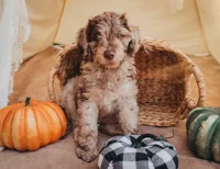 processed/8b20600e-c0cd-472e-9363-24d3355a7e02/facility/bc0eab92-a849-4da1-beaa-e885b593cadd