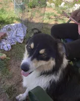 processed/8b292639-e9a8-4b54-9aff-71b9a16a65e6/facility/25c74db7-5b96-40a4-9669-721462483c77