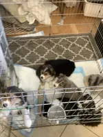 processed/8b292639-e9a8-4b54-9aff-71b9a16a65e6/facility/65bc6b6d-45b0-4289-b709-9d86e664cb0c