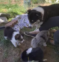 processed/8b292639-e9a8-4b54-9aff-71b9a16a65e6/facility/724d766e-a690-4817-8a36-17c0c8508c69