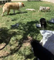 processed/8b292639-e9a8-4b54-9aff-71b9a16a65e6/facility/a34dc2b2-e7b3-4420-8022-09a589ca36de