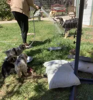 processed/8b292639-e9a8-4b54-9aff-71b9a16a65e6/facility/a5b30f59-d42a-433d-b017-3052c46eaad2