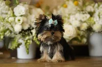 processed/8b2ef7bd-ce51-4c04-b532-5139fb5dc298/facility/345afdb3-ac0d-461f-9619-03ca1044a127