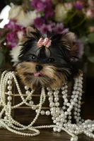 processed/8b2ef7bd-ce51-4c04-b532-5139fb5dc298/facility/63831727-c66d-4e3d-ae79-b74cf954fb1a