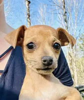 processed/8b396add-ad37-474c-a581-8599e60de478/facility/030bffae-3181-4626-b3cb-a469c5c69306