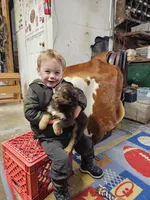 processed/8b3e2af2-dc01-4981-a1db-7b3a168108ec/listing/d5803fe4-f6de-40c5-a6a2-d6e490320a63/2065977e-e118-4a62-a2c9-65d6cba3d873