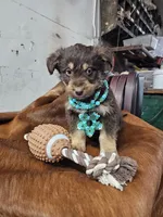 processed/8b3e2af2-dc01-4981-a1db-7b3a168108ec/listing/d5803fe4-f6de-40c5-a6a2-d6e490320a63/7fa4716f-38e6-4fc3-a2ab-3058b68e9d5c