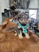 processed/8b3e2af2-dc01-4981-a1db-7b3a168108ec/listing/d5803fe4-f6de-40c5-a6a2-d6e490320a63/b137a976-a84b-472d-be9e-c4eae23c8bb9