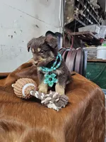 processed/8b3e2af2-dc01-4981-a1db-7b3a168108ec/listing/d5803fe4-f6de-40c5-a6a2-d6e490320a63/bf144cfc-f3cd-4fe9-8e3d-f2eff2511144