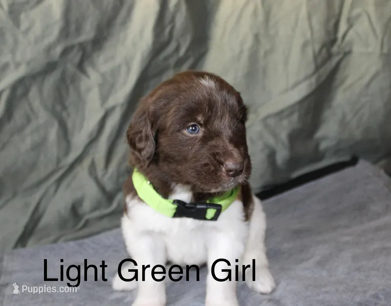 Light Green Girl