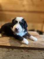 processed/8b431372-8c13-4187-8a8f-3bef72ead60a/listing/064809f6-abed-47e6-be97-9f63653d78f4/07f02d51-3c11-44b6-b1cc-69268342bb7b