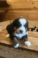 processed/8b431372-8c13-4187-8a8f-3bef72ead60a/listing/0eba326c-c03c-4b07-a727-eca1ab6ef2d1/397d5c9d-e202-493b-a093-62f5a49a049d