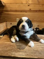 processed/8b431372-8c13-4187-8a8f-3bef72ead60a/listing/b79f6349-c22f-45a0-837b-db7fcddd2a68/044b71be-a92b-43f3-b559-fb4acd7f5112